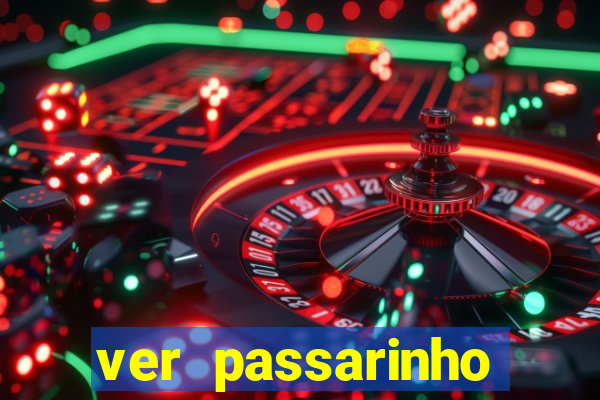 ver passarinho morto significado espiritual
